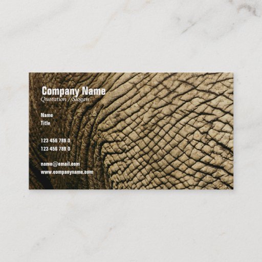 Customizable Travel agents, Safari tours, taxidermists, vets Business Card Template