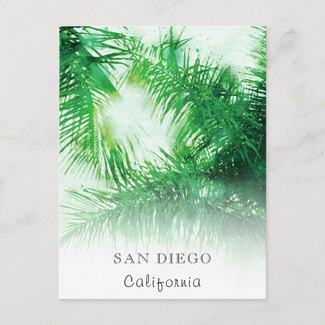 *~* Travel AP25 Personalize Tropical Palm Fronds Postcard (Front)