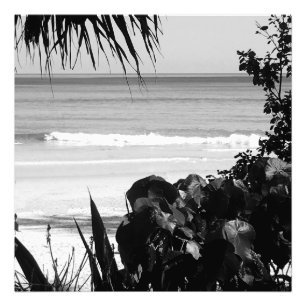 Travel Beach Scene Summer Black White Tropical Photo Print