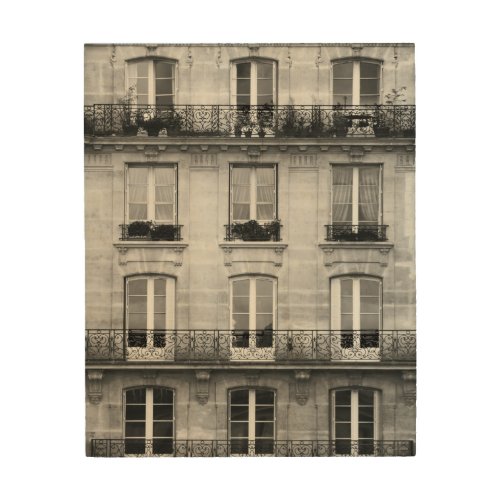 Travel  Black and White Vintage Building In Paris Wood Wall Art