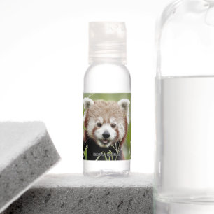 Travel Bottle Set photo panda. Hand Sanitizer