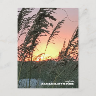 Travel   Florida - Anastasia Sea Oat Sunset Postcard