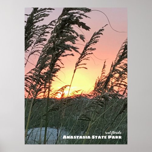 Travel  Florida _ Anastasia Sea Oat Sunset Poster