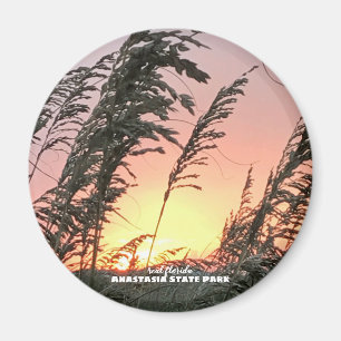 Travel Florida -- Anastasia Sea Oats Magnet