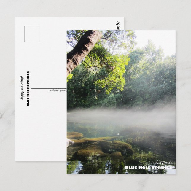 Travel | Florida - Blue Hole Springs Foggy Morning Postcard (Front/Back)