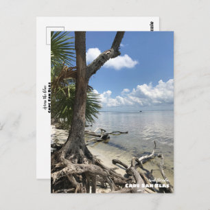 Travel Florida - Cape San Blas Beach Postcard