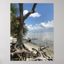 Travel | Florida - Cape San Blas Beach Poster