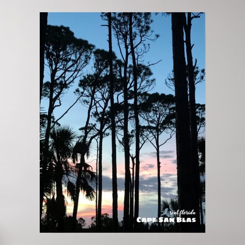 Travel  Florida _ Cape San Blas Sunset Pines Poster