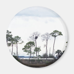 Travel   Florida - Eagles Nest Magnet