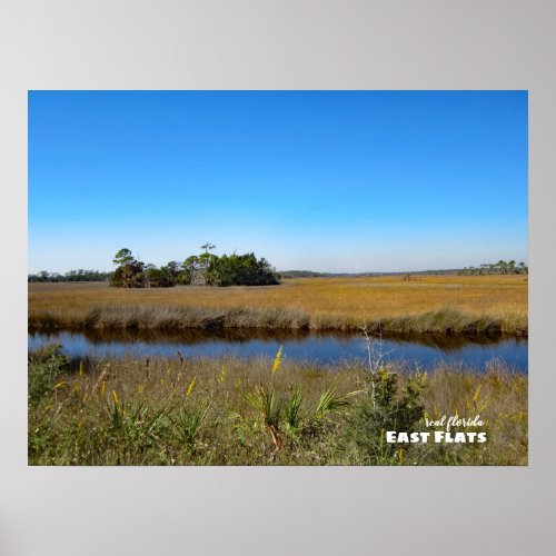 Travel  Florida _ East Flats St Marks Wildlife Poster