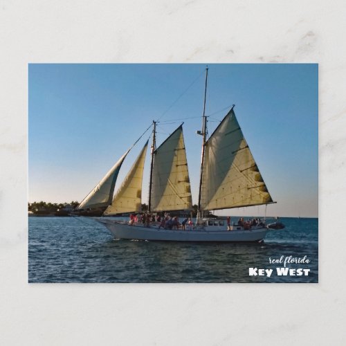 Travel  Florida _ Key West Sunset Sailboat Cruise Postcard