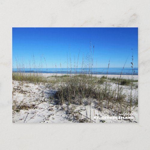 Travel  Florida _ St George Island Beach Postcard
