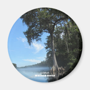 Travel   Florida - Wacissa River Cypress Magnet