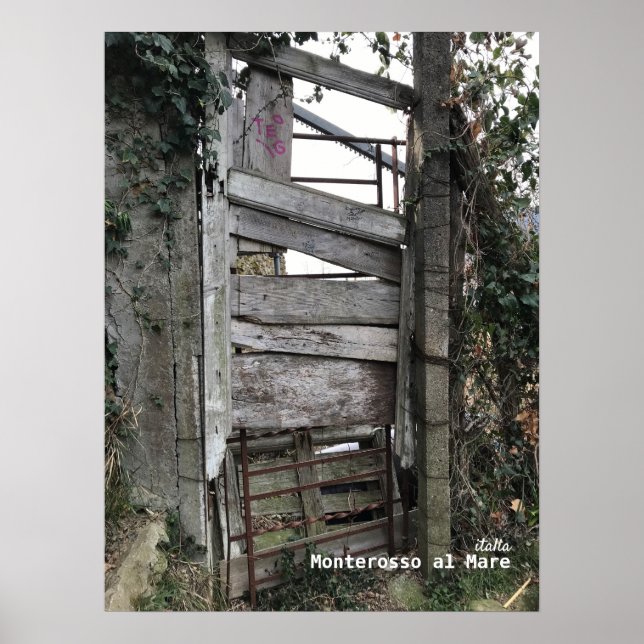 Travel | Italy - Monterosso al Mare Old Door Poster (Front)