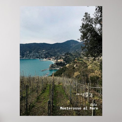 Travel  Italy _ Monterosso Winter Vineyard Poster
