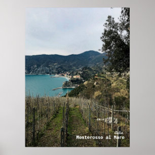 Travel Italy - Monterosso Winter Vineyard Poster