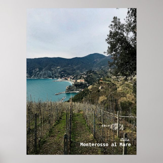 Travel | Italy - Monterosso Winter Vineyard Poster (Front)