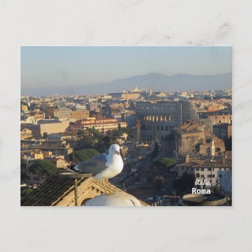 Travel  Italy _ Rome Birds Eye View Postcard