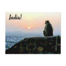 Travel Peaceful Meditation Monkey India Sunset