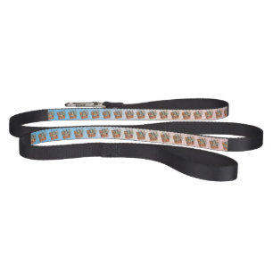 Travel Pet Leash