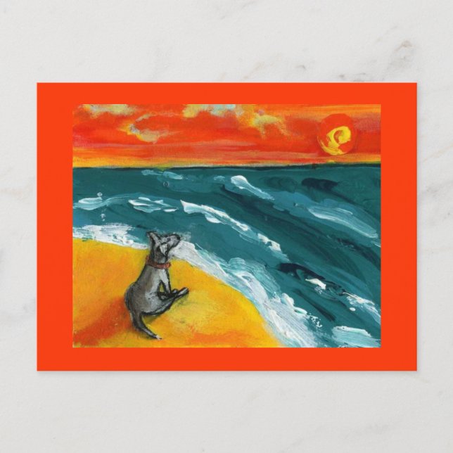 Travel & Sunset with Dog Postcard (Front)