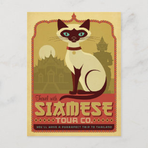 Travel with Siamese Tour Co. Postcard
