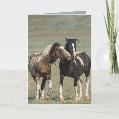 Traveler Courts His Mare Wild Horse Greeting Cards