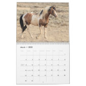 Traveler of McCullough Peaks Wild Horse Calendar (Mar 2025)