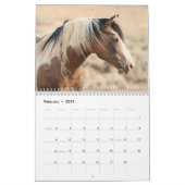 Traveler of McCullough Peaks Wild Horse Calendar (Feb 2025)