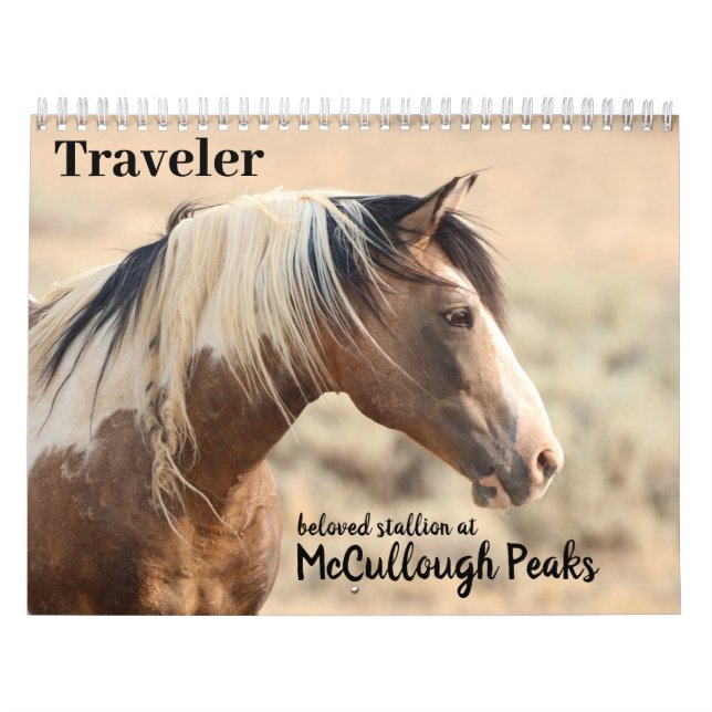 Traveler of McCullough Peaks Wild Horse Calendar (Cover)