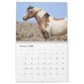 Traveler of McCullough Peaks Wild Horse Calendar (Jan 2025)