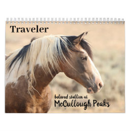 Traveler of McCullough Peaks Wild Horse Calendar