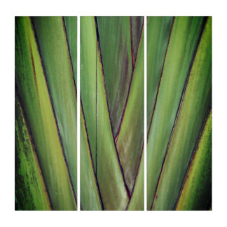 Traveler Palm Triptych Wall Art