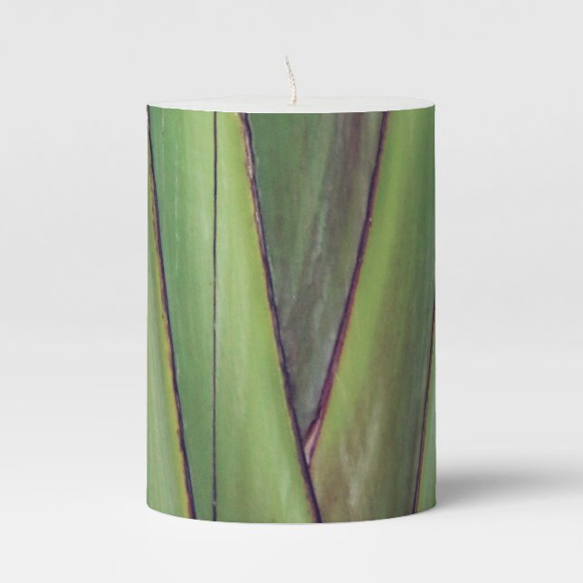 Traveler Palm Wax Pilar Candle  (Front)