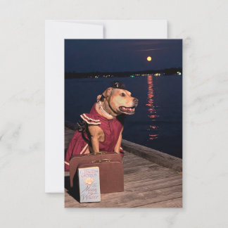 Traveler Sailor Dog funny costume book notecard