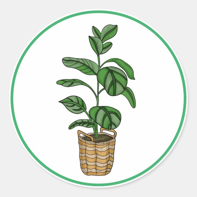 Traveler's Palm Hand Drawn Houseplant Art    Classic Round Sticker (Front)