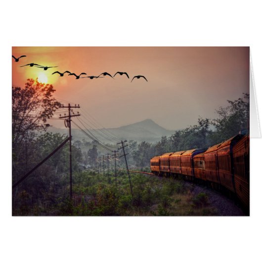 Traveling (Front Horizontal)