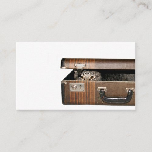 Traveling cat business card