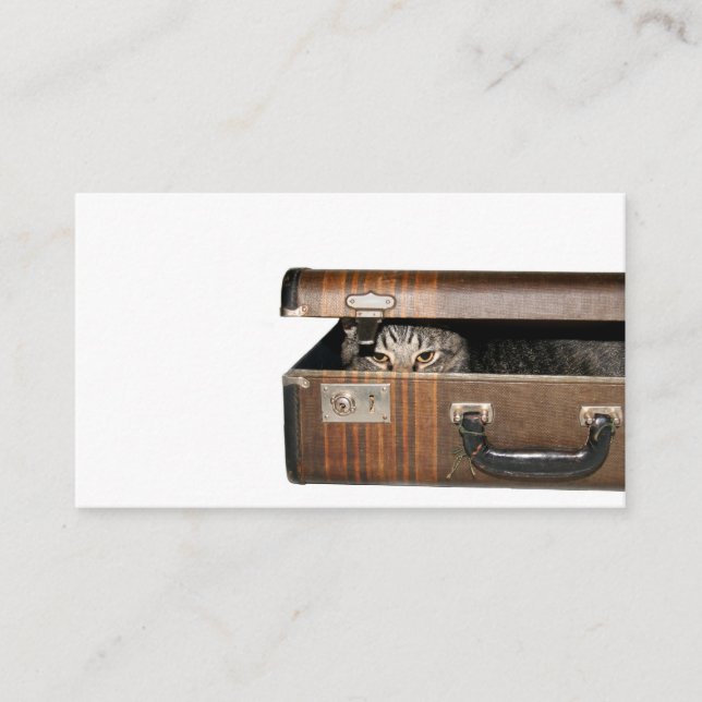 Traveling cat business card (Front)