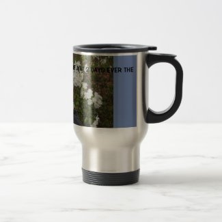 Traveling Coffee Mug