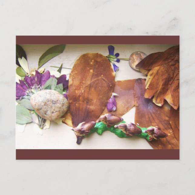 Traveling Ducks Postcard (Front)