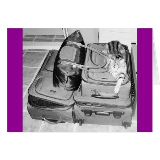 Traveling Indigo Pencil (Front Horizontal)