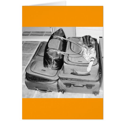 Traveling Indigo Pencil (Front)