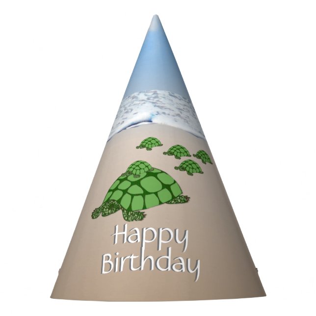 Traveling Turtle Family Birthday Party Hat (Front)