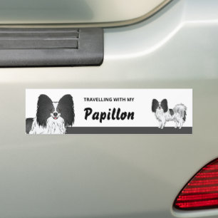 Traveling With My Black And White Papillon Dog Bumper Sticker