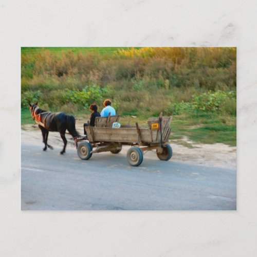 Travelling by horse and cart Romania Postcard