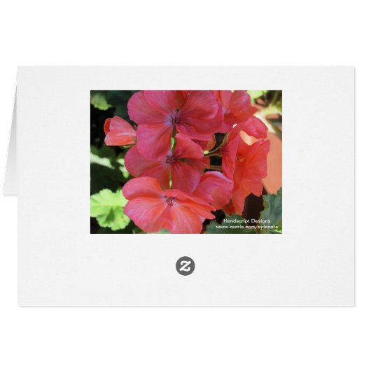 Travelling in Northern Italy (Back Horizontal)