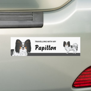 Travelling With My Tricolor Papillon Dog Bumper Sticker