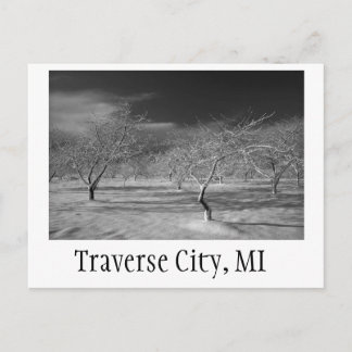 Traverse City Cherry Orchard Postcard