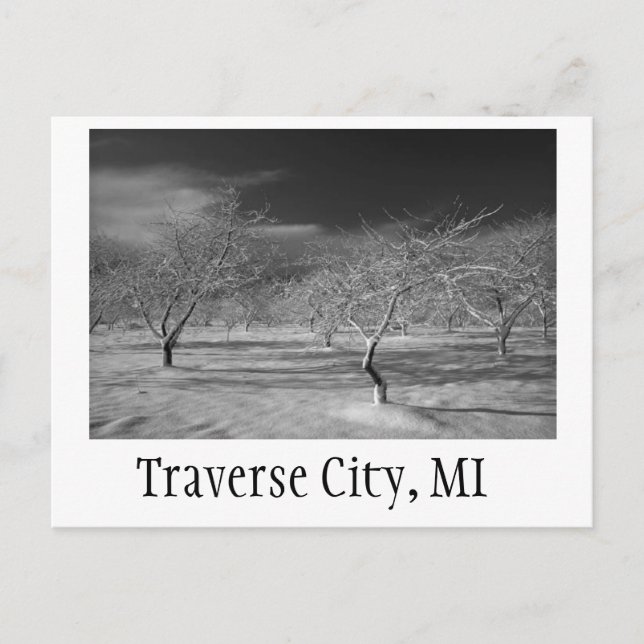 Traverse City Cherry Orchard Postcard (Front)